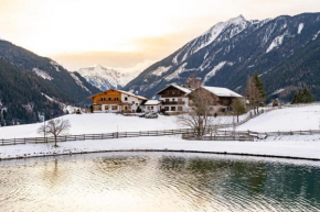 Pension Braunhofer Schladming